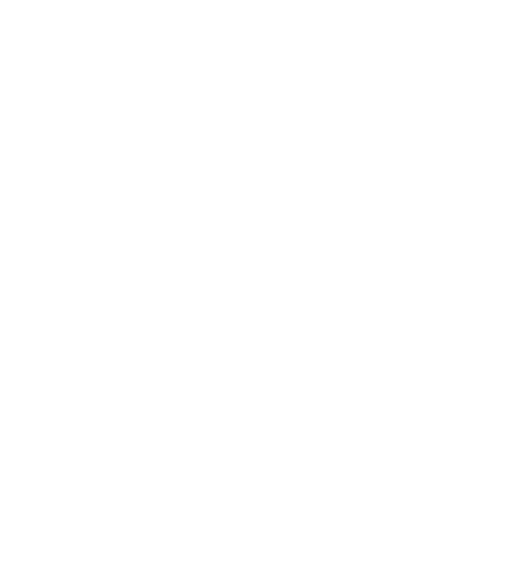 8_-_professional_services_-_480x540